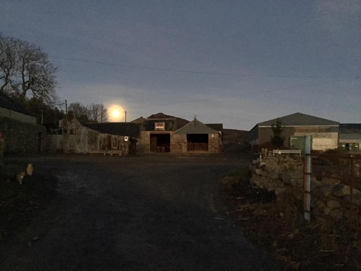 Broadsea Farm stay