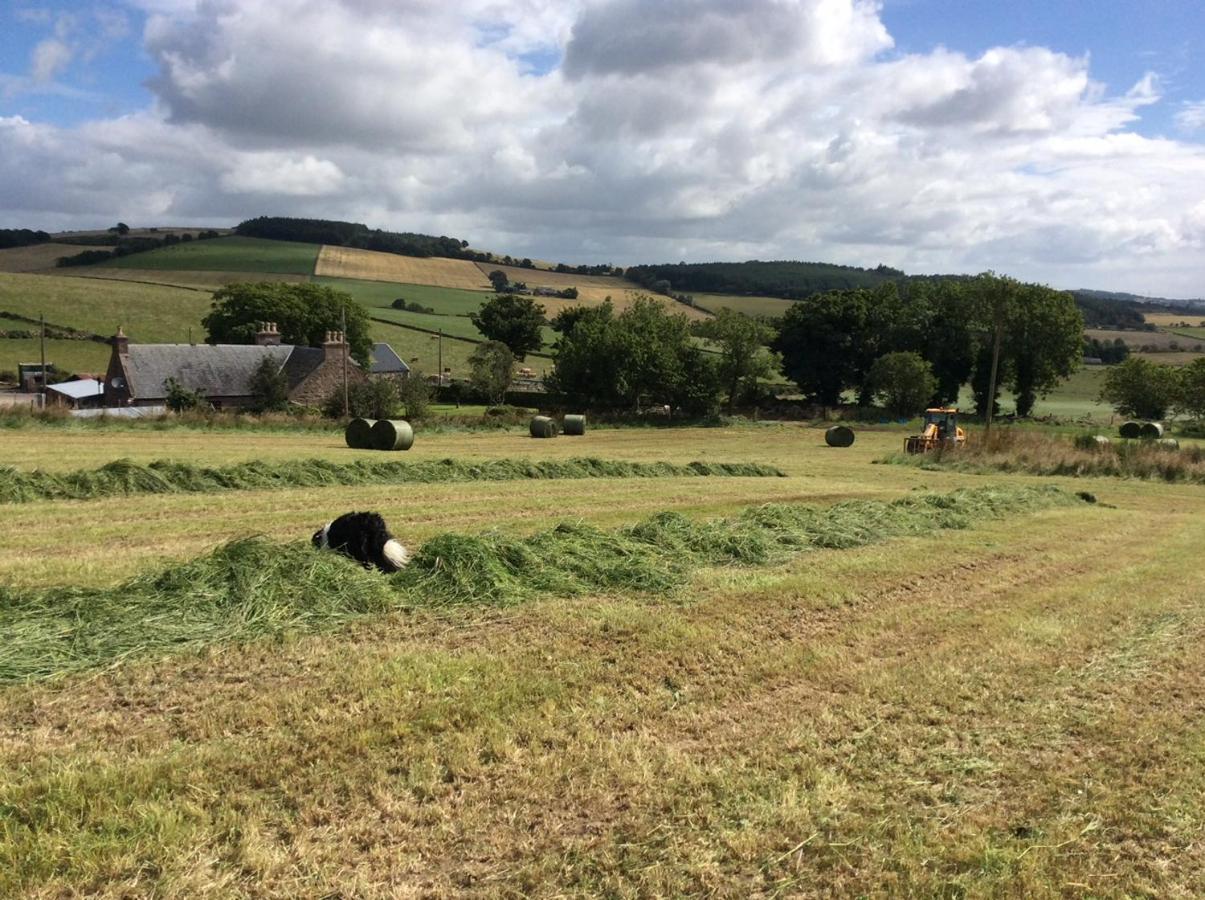Farm stay Broadsea